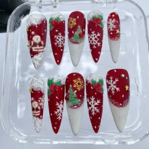 3D Santa Snow Christmas Press On Nails 1
